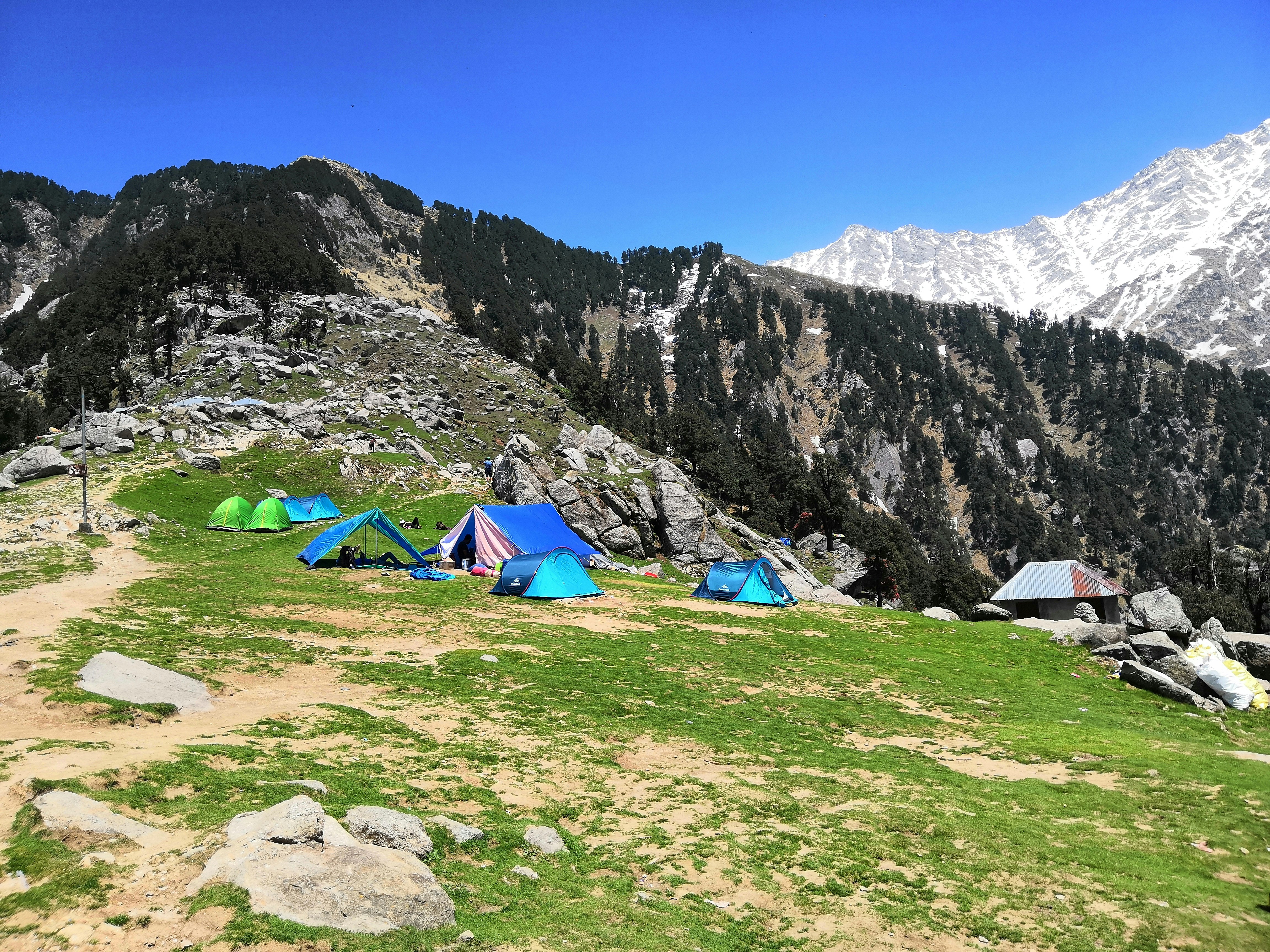 Triund Trek